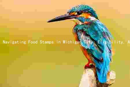 Navigating Food Stamps in Michigan City: Eligibility, Application, Benefit Amount, Wait Time, and Work Requirements