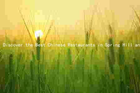 Discover the Best Chinese Restaurants in Spring Hill and Unique Dishes to Try