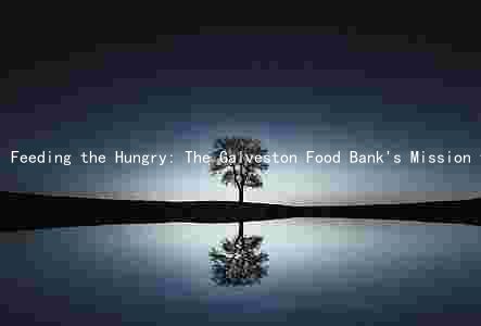 Feeding the Hungry: The Galveston Food Bank's Mission to Combat Food Insecurity in the Community