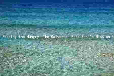 Feeding the Hungry: The Galveston Food Bank's Mission to Combat Food Insecurity in the Community