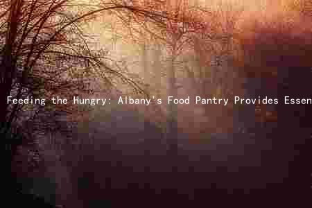 Feeding the Hungry: Albany's Food Pantry Provides Essential Supplies and Opportunities for Support