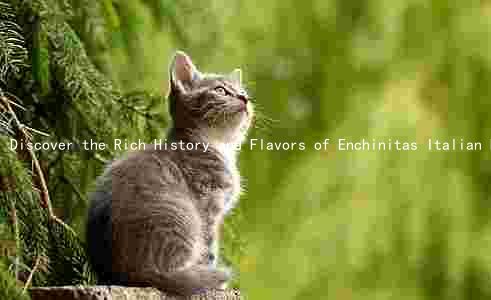Discover the Rich History and Flavors of Enchinitas Italian Food: A Culinary Journey Through Time