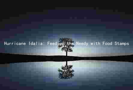 Hurricane Idalia: Feeding the Needy with Food Stamps